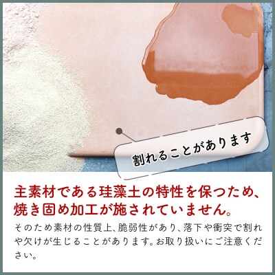 soil ツールコンテナ【ホワイト】日本製 ソイル 珪藻土 |drlz-100101a