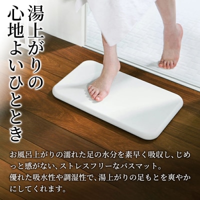 soil バスマット【ホワイト】日本製 珪藻土|drlz-130101a