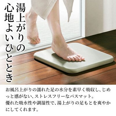 soil バスマット スクエア【グリーン】日本製 珪藻土|drlz-140101b