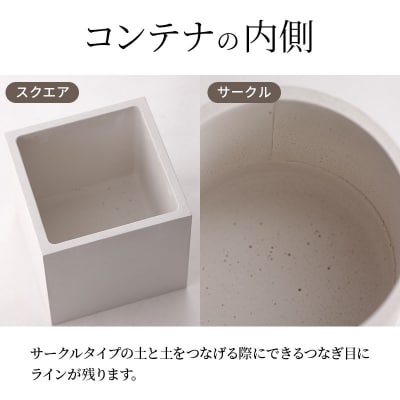soil フードコンテナ M【サークル/ホワイト】珪藻土 日本製|drlz-160101v