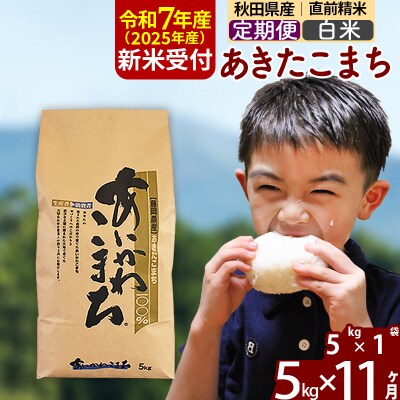 令和7年産 新米受付《定期便11ヶ月》あきたこまち 5kg【白米】|foap-10311