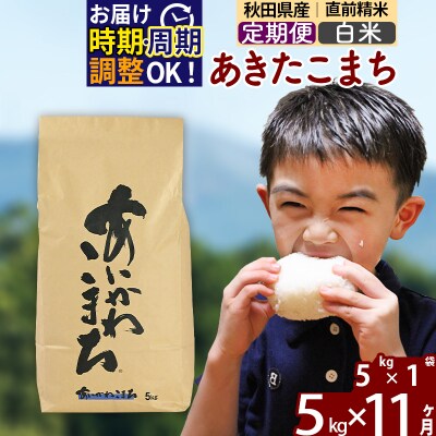 令和7年産《定期便11ヶ月》あきたこまち 5kg【白米】|foap-10311