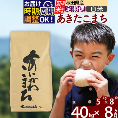 �ߘa7�N�Y �V�ās�����8�����t���������܂� 40kg�y���āz|foap-11108