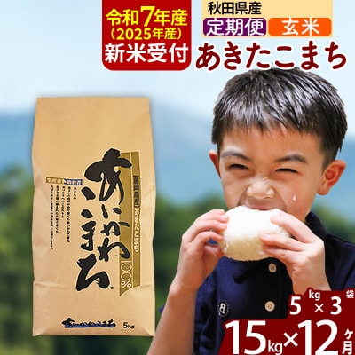 令和7年産 新米受付《定期便12ヶ月》あきたこまち 15kg【玄米】|foap-20712
