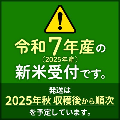 令和7年産 新米受付《定期便6ヶ月》あきたこまち 50kg【玄米】|foap-21206