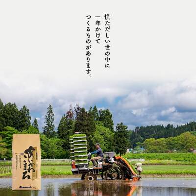 令和7年産 新米受付《定期便6ヶ月》あきたこまち 50kg【玄米】|foap-21206