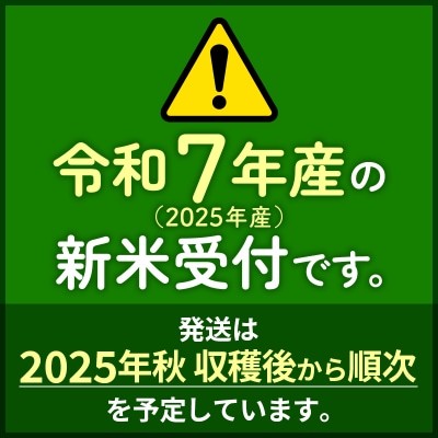 令和7年産 新米受付《定期便7ヶ月》あきたこまち 50kg【玄米】|foap-21207