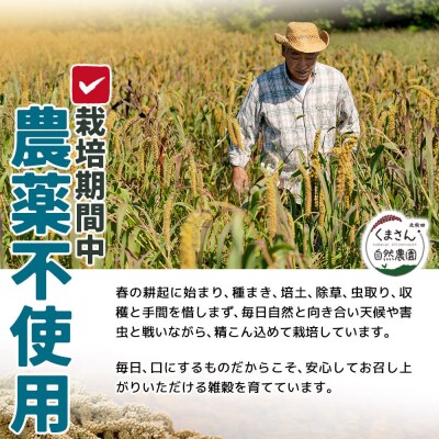 雑穀 5穀セット(計1kg)秋田県 北秋田市産|kgrl-00017