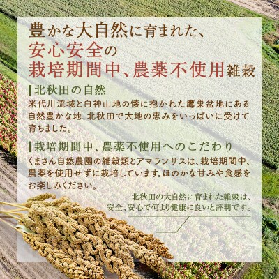 雑穀 きび 計600g(200g×3袋)秋田県 北秋田市産|kgrl-00019