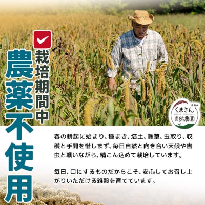 雑穀 ひえ 計600g(200g×3袋)秋田県 北秋田市産|kgrl-00021