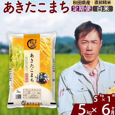令和7年産《定期便6ヶ月》あきたこまち 5kg【白米】|msrf-10306