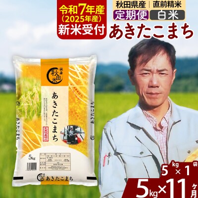 R7年産 新米受付《定期便11ヶ月》あきたこまち 5kg【白米】|msrf-10311