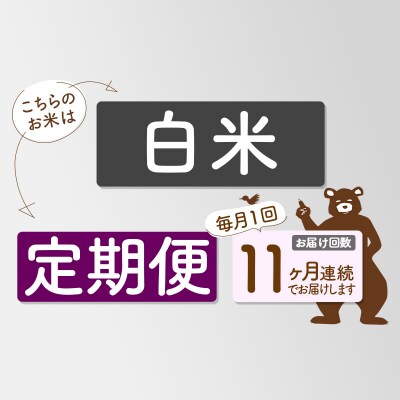 R7年産 新米受付《定期便11ヶ月》秋田県産あきたこまち60kg【白米】|msrf-11311
