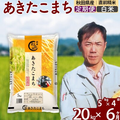 令和7年産《定期便6ヶ月》あきたこまち 20kg【白米】|msrf-12206