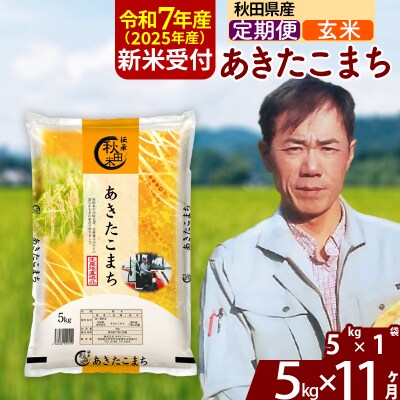 R7年産 新米受付《定期便11ヶ月》あきたこまち 5kg【玄米】|msrf-20311