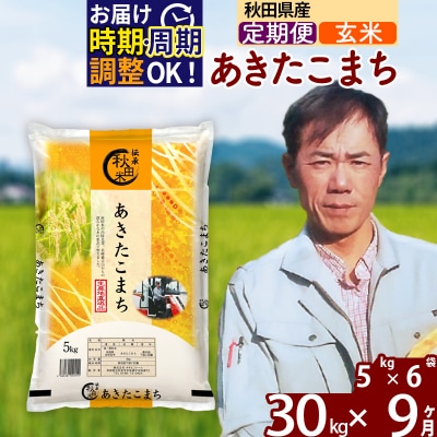 令和7年産《定期便9ヶ月》あきたこまち 30kg【玄米】|msrf-22309