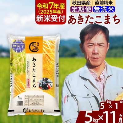 R7年産 新米受付《定期便11ヶ月》あきたこまち 5kg【無洗米】|msrf-30311