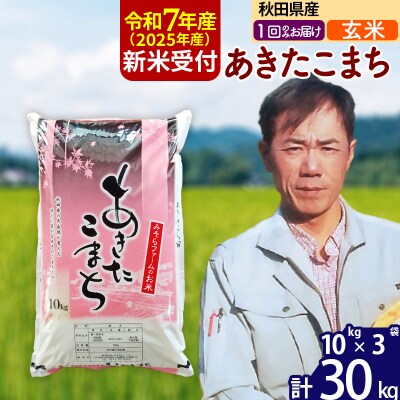 R7年産 新米受付 秋田県産あきたこまち30kg【玄米】1回のみお届け|msrf-21001