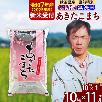 R7年産 新米受付《定期便11ヶ月》秋田県産あきたこまち10kg 無洗米|msrf-30611