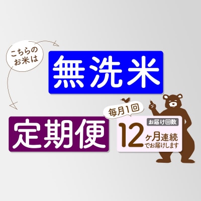 R7年産 新米受付《定期便12ヶ月》秋田県産あきたこまち10kg 無洗米|msrf-30612