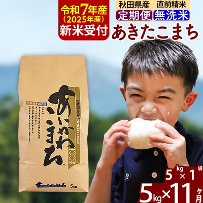 令和7年産 新米受付《定期便11ヶ月》あきたこまち 5kg 無洗米|foap-30311