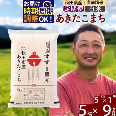 令和7年産《定期便9ヶ月》秋田県産 あきたこまち 5kg【白米】|szap-10309