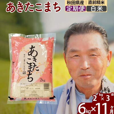令和7年産《定期便11ヶ月》秋田県産あきたこまち6kg【白米】|oomr-10411