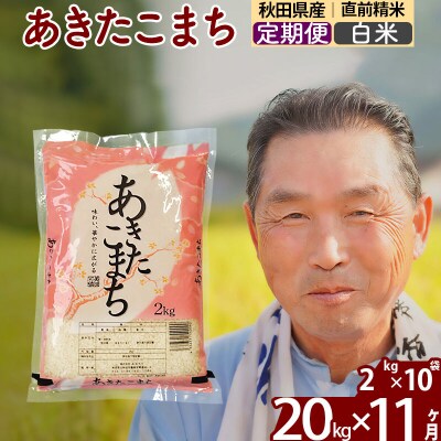 令和7年産《定期便11ヶ月》秋田県産あきたこまち20kg 白米|oomr-10811