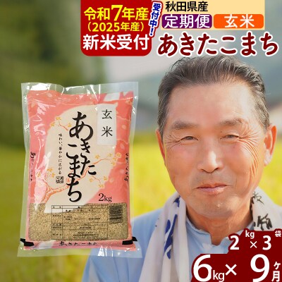 R7年産 新米受付《定期便9ヶ月》秋田県産あきたこまち6kg【玄米】|oomr-20409