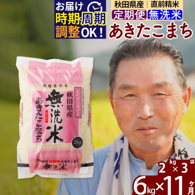 R7年産 新米受付《定期便11ヶ月》秋田県産あきたこまち6kg 無洗米|oomr-30411