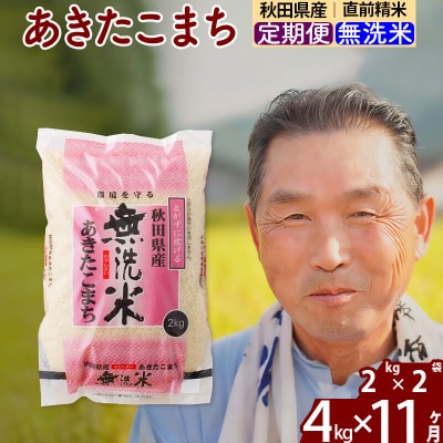 令和7年産《定期便11ヶ月》秋田県産あきたこまち4kg 無洗米|oomr-30211