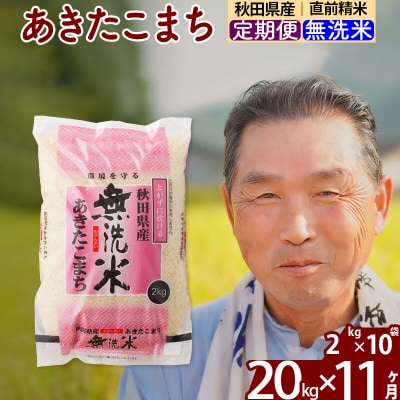 令和7年産《定期便11ヶ月》秋田県産あきたこまち20kg 無洗米|oomr-30811