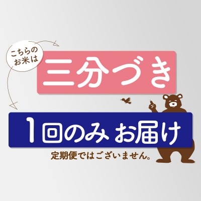 令和7年産 秋田県産あきたこまち10kg【3分づき】《1回のみ》|oomr-53101