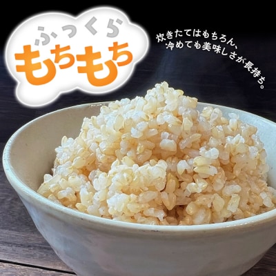 米【令和7年産 新米予約】秋田県北秋田市産 あきたこまち 玄米5kg|fjne-020501