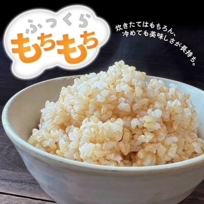 米【令和8年産 新米予約】秋田県北秋田市産 あきたこまち 玄米5kg|fjne-020501