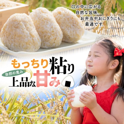 米【令和8年産 新米予約】秋田県北秋田市産 あきたこまち 玄米5kg|fjne-020501