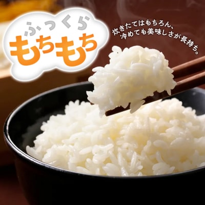 米【令和7年産 新米予約】秋田県北秋田市産 あきたこまち 精米5kg|fjne-010501