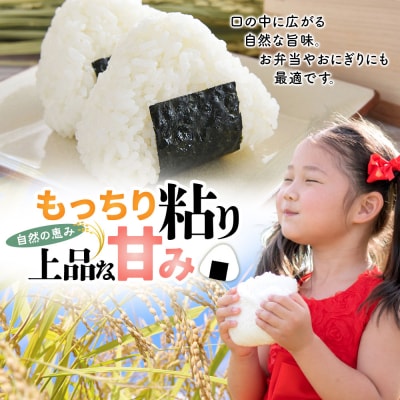 米【令和7年産 新米予約】秋田県北秋田市産 あきたこまち 精米5kg|fjne-010501
