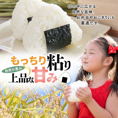 米【令和8年産 新米予約】秋田県北秋田市産 あきたこまち 精米10kg|fjne-011001