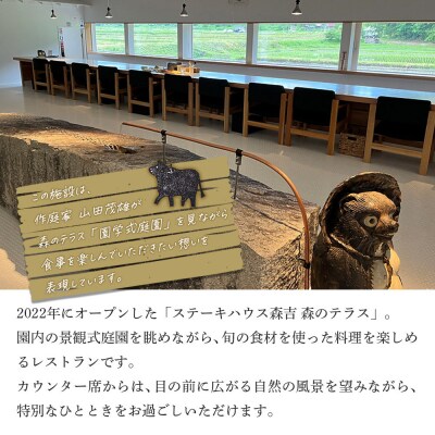 お食事 森のテラス ステーキハウス お食事プラン 森吉|mrtr-040101