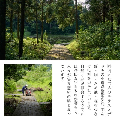 ほたる 宿泊 森のテラス ほたる鑑賞付 宿泊プラン 森吉|mrtr-010101