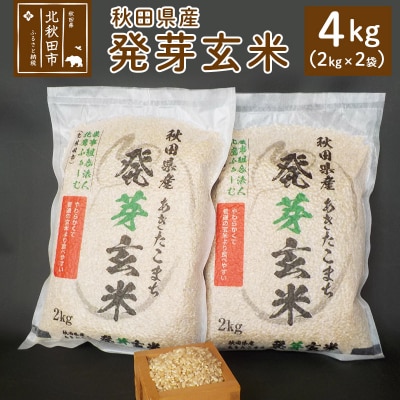 令和7年産 発芽玄米(2kg×2袋)ビタミン カルシウム 食物繊維|hkyu-080401