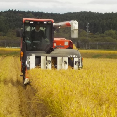 令和7年産 発芽玄米(2kg×2袋)ビタミン カルシウム 食物繊維|hkyu-080401
