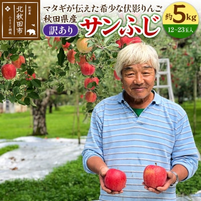 りんご サンふじ(訳あり) 約5kg (12～23玉入)|itff-010501