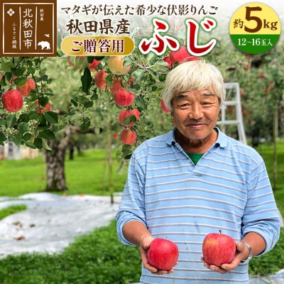 ＜先行受付＞りんご ふじ(ご贈答用)約5kg (12～16玉入) |itff-00002