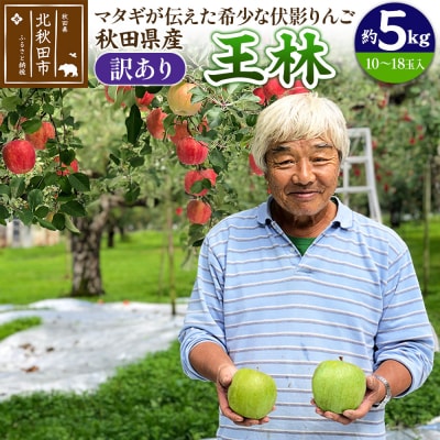 ＜先行受付＞りんご 王林(訳あり)約5kg (10～18玉入)|itff-00006