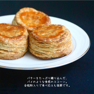 パイスコーン 国産小麦 全粒粉 8個 セット|bear-030801