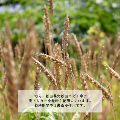 パイスコーン 国産小麦 全粒粉 8個 セット|bear-030801