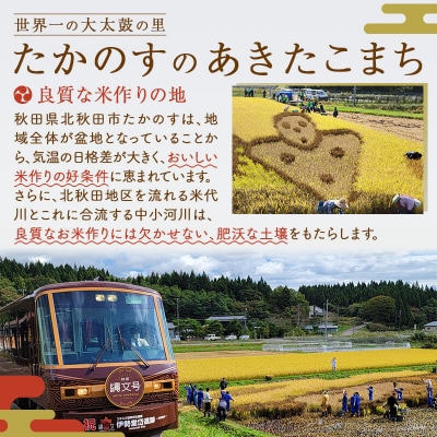 あきたこまち 白米10kg(5kg×2袋)10キロ お米 令和7年産 |jata-10601