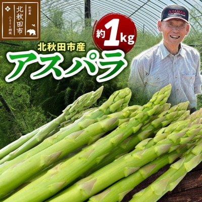 野菜 北秋田市産 アスパラ 約1kg M～Lのサイズミックス|tndn-010101